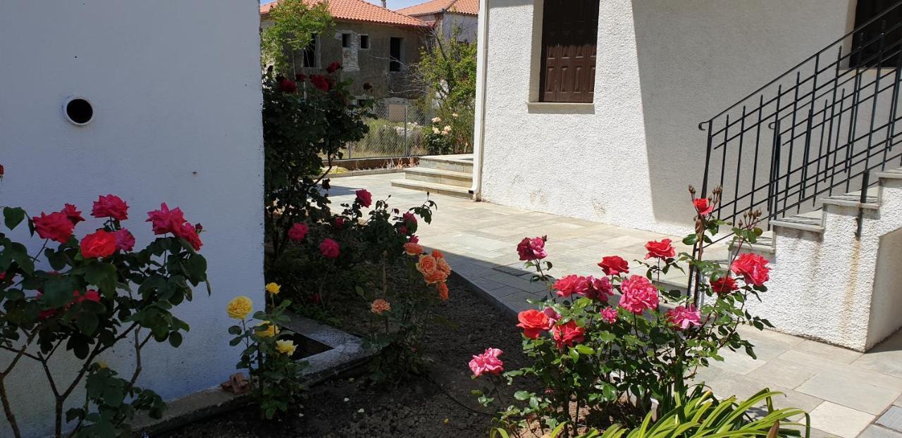 Zmas Studios Hórto Kültér fotó